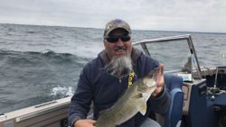 Walleye on Lake Erie